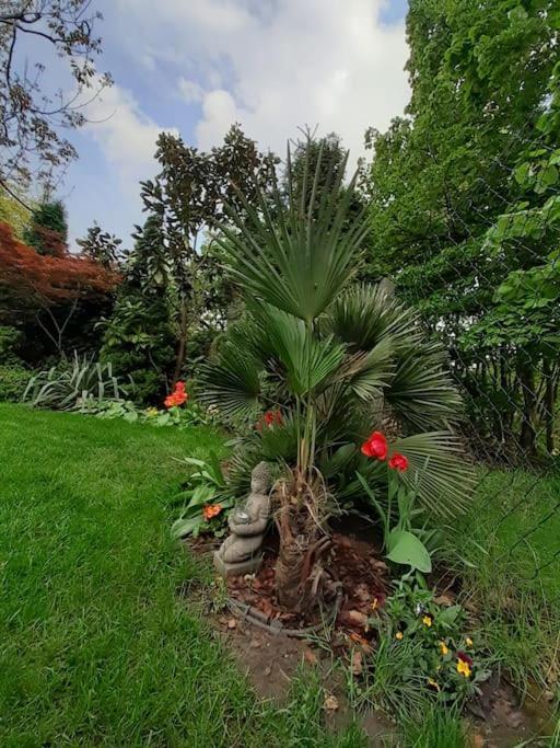 Apartmán House W Little Tropical Garden Budapešť Exteriér fotografie
