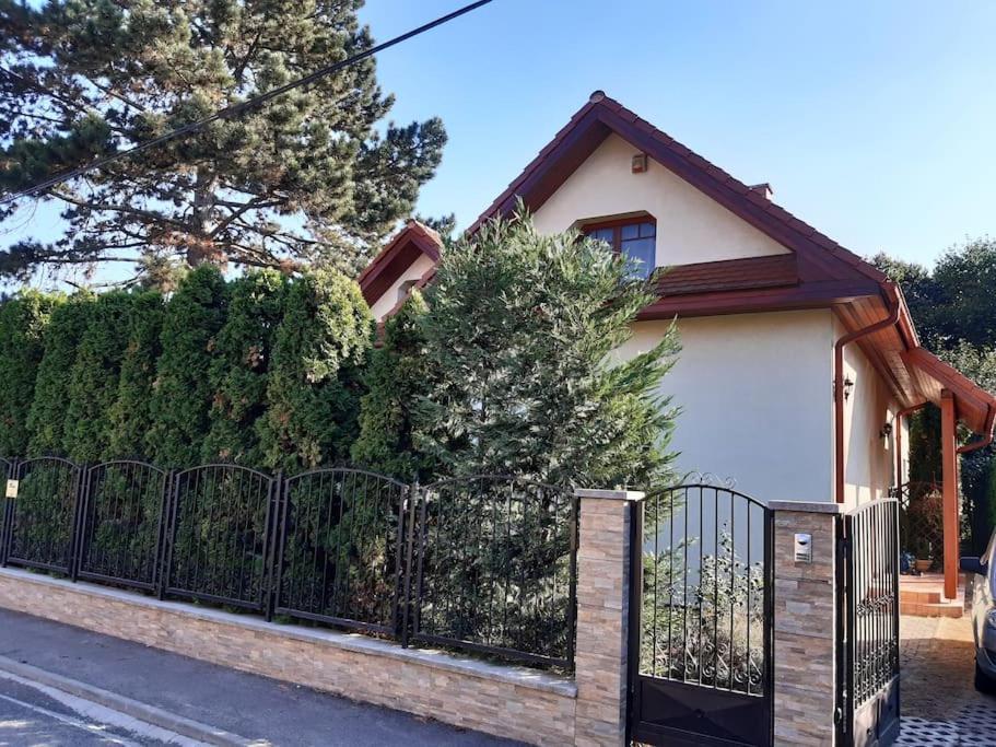 Apartmán House W Little Tropical Garden Budapešť Exteriér fotografie